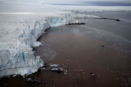 A glacier is seen at Hero Bay, Antarctica, February 19, 2018. REUTERS/Alexandre Meneghini