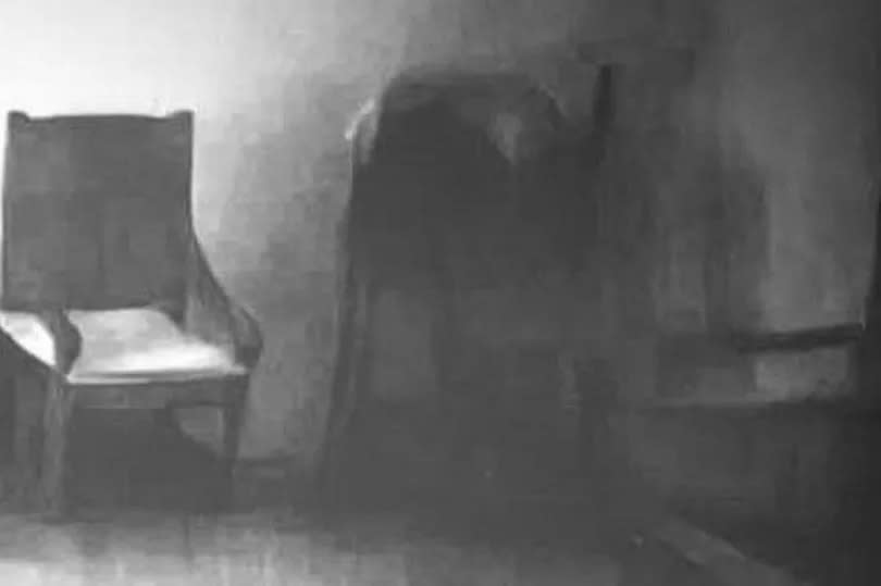 Easier to see the ghost capture in black and white