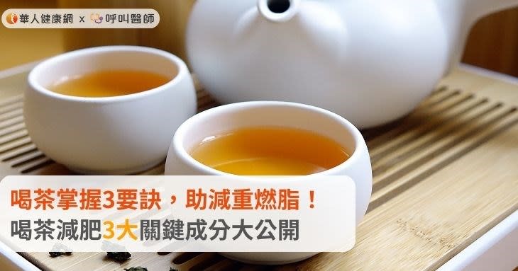 喝茶掌握3要訣，助減重燃脂！喝茶減肥3大關鍵成分大公開