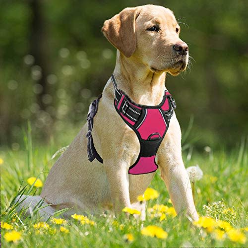 BARKBAY No Pull Dog Harness