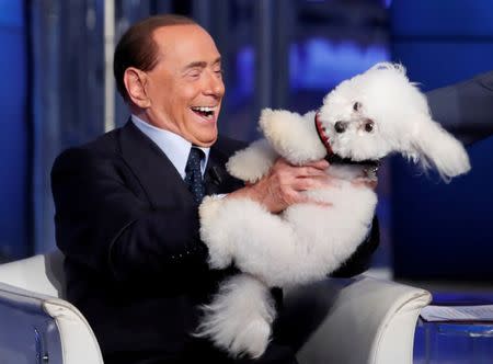 Italy's former Prime Minister Silvio Berlusconi plays with a dog during the television talk show "Porta a Porta" (Door to Door) in Rome, Italy. REUTERS/Remo Casilli