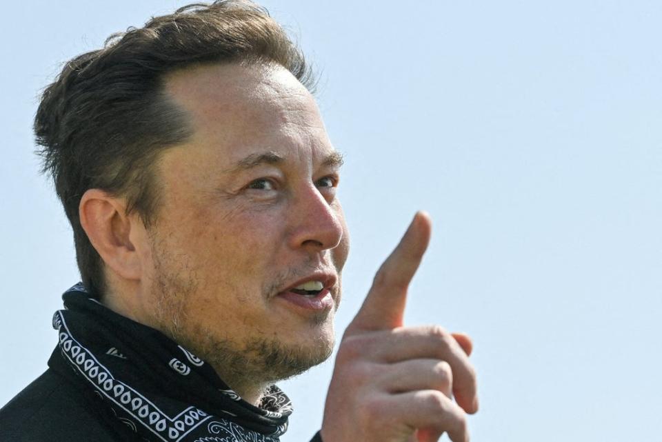 Tesla CEO Elon Musk (REUTERS)