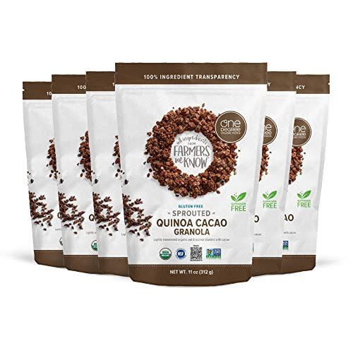 11) Sprouted Quinoa Cacao Granola