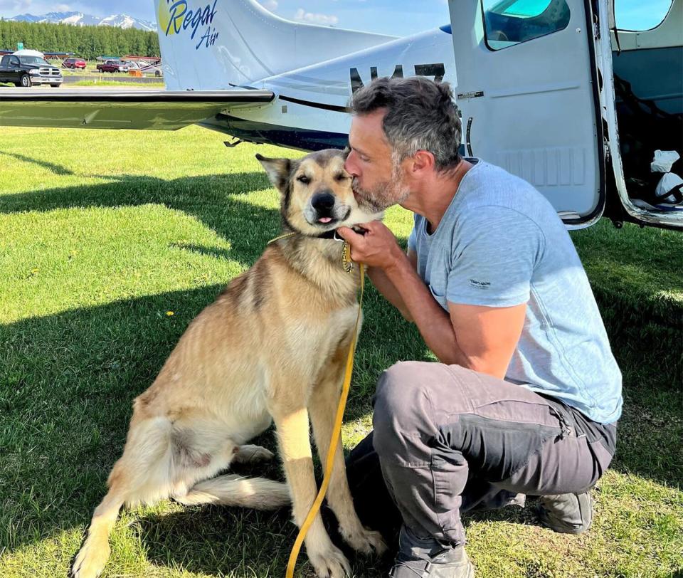 Iditarod Sled Dog, Leon, Found 3 Months After Going Missing from Race Checkpoint seen with owner Sébastien Dos Santos Borges
