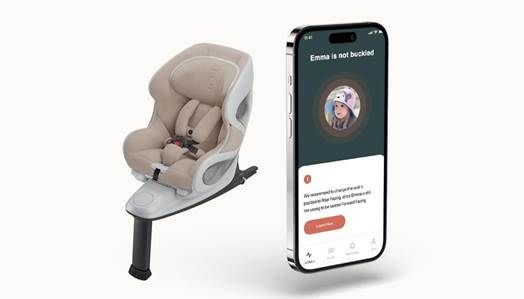 Babyark Convertible Car Seat