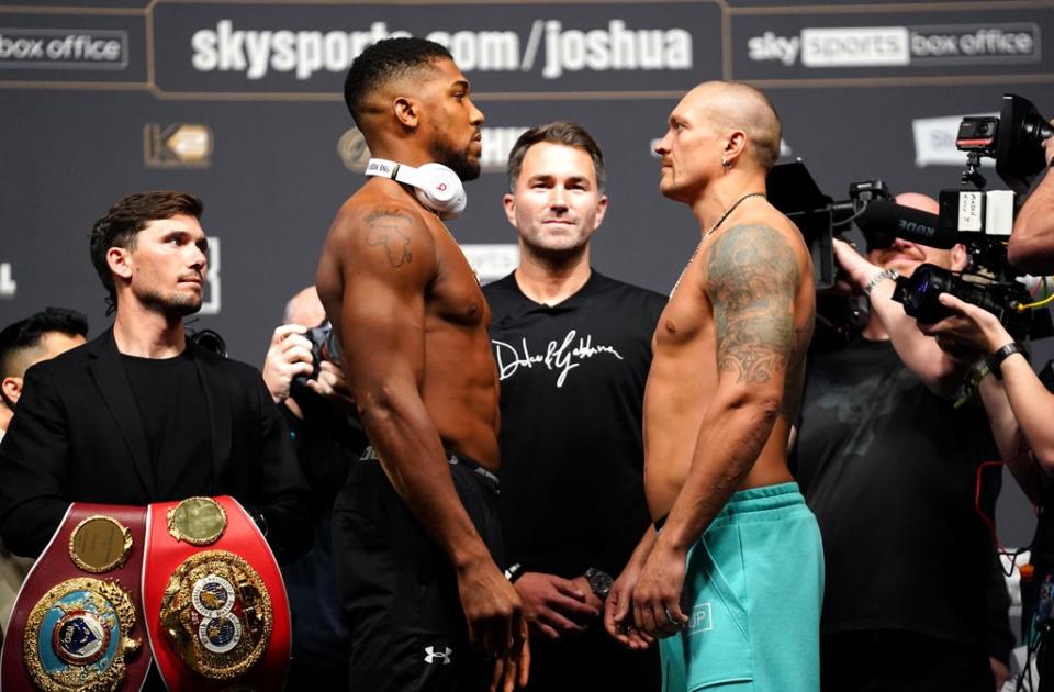 Anthony Joshua (left) and Oleksandr Usyk are set for a heavyweight title rematch (Zac Goodwin/PA) (PA Archive)