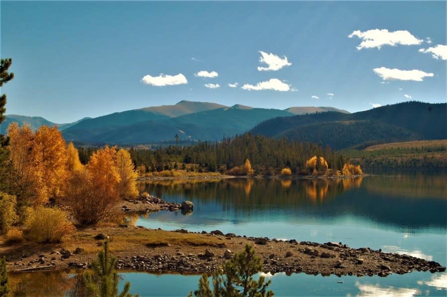 Fall colors near Dillon (Dara Bitler)