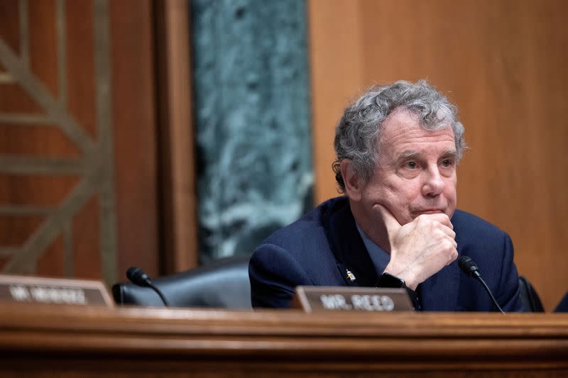 FILE PHOTO: Senate Banking Committee Chair Brown listens to testimony on Capitol Hill