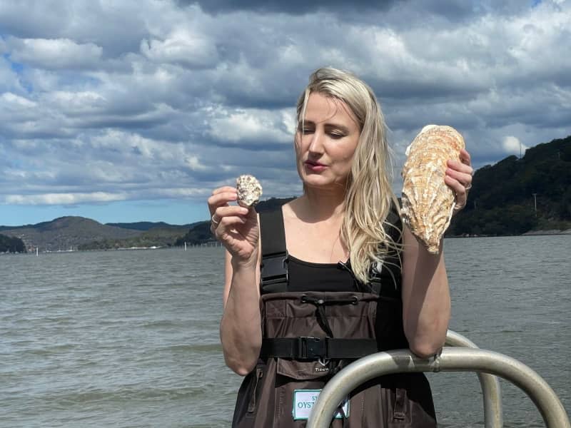 Oyster farmer Sheridan Beaumont shows a Sydney Rock Oyster (l) and a large Pacific Oyster during her Sydney Oyster Farm Tour, which also includes an oyster lunch in the water. Michelle Ostwald/dpa