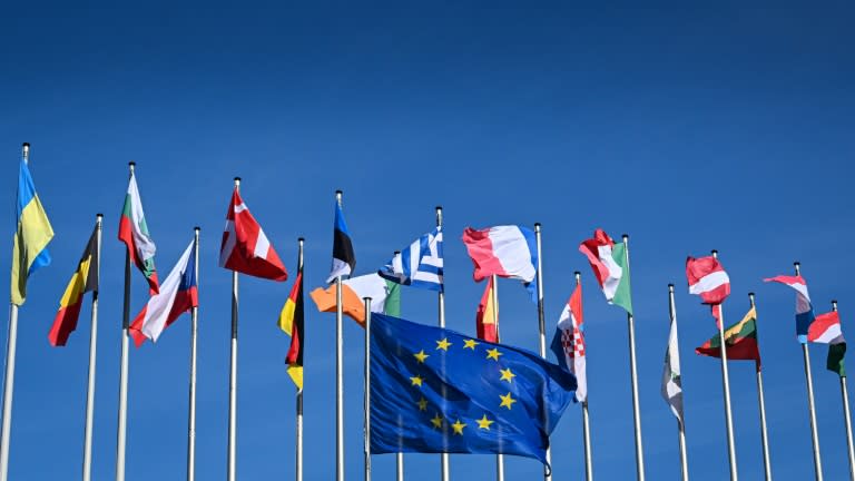 Des drapeaux des pays de l'UE devant le Parlement européen à Strasbourg (Est de la France) le 25 mars 2024 (PATRICK HERTZOG)