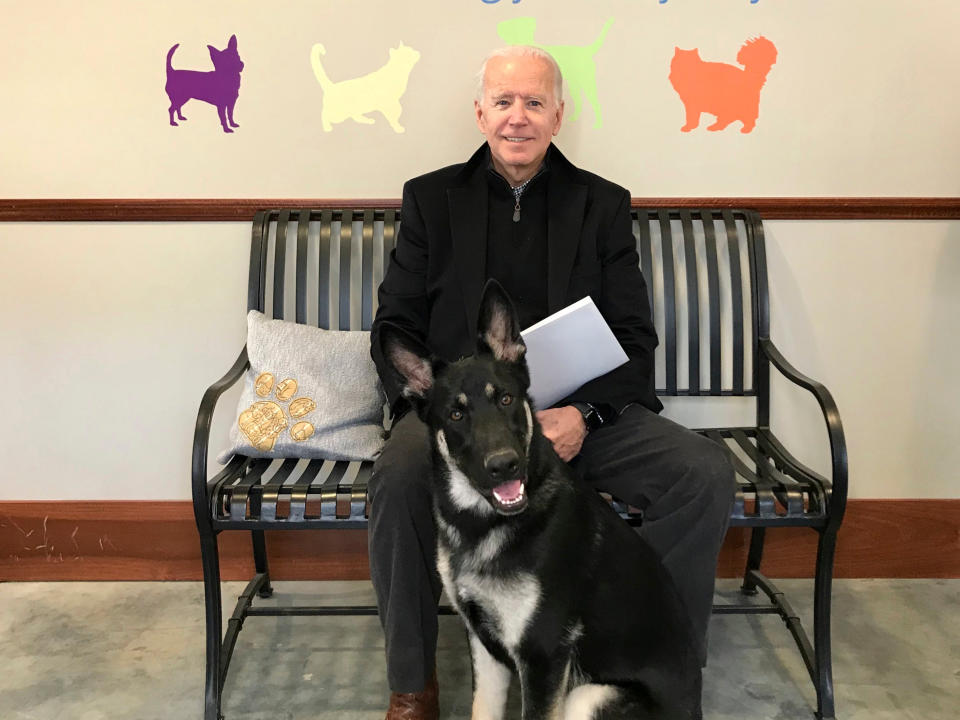 <p>Joe Biden and his newly-adopted German shepherd Major, in Wilmington, Delaware in November 2018</p> (AP)