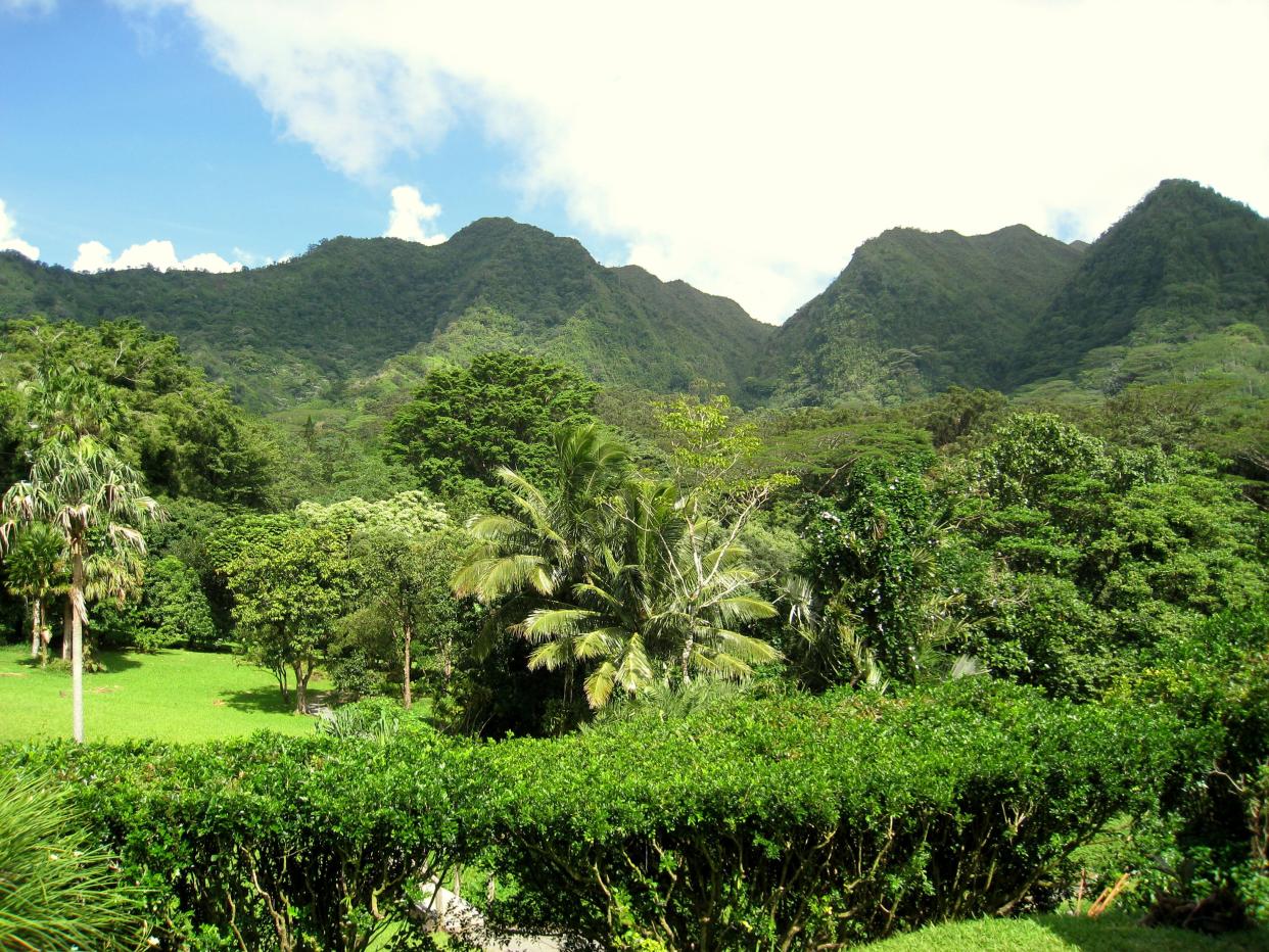 Lyon Arboretum at The University of Hawai'i at Mānoa