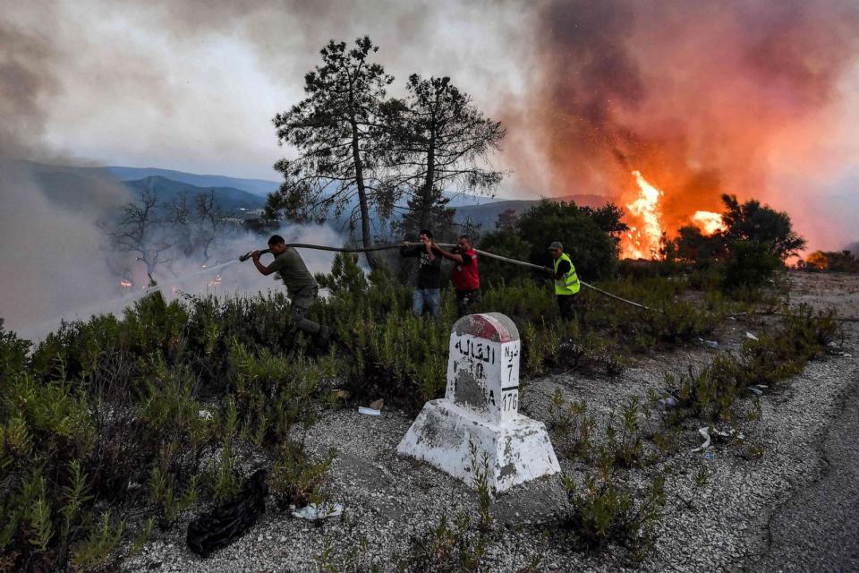 PHOTO: Firefighters attempt to extinguish a raging forest fire near the town of Melloula in northwestern Tunisia close to the border with Algeria on July 24, 2023. (Fethi Belaid/AFP via Getty Images)