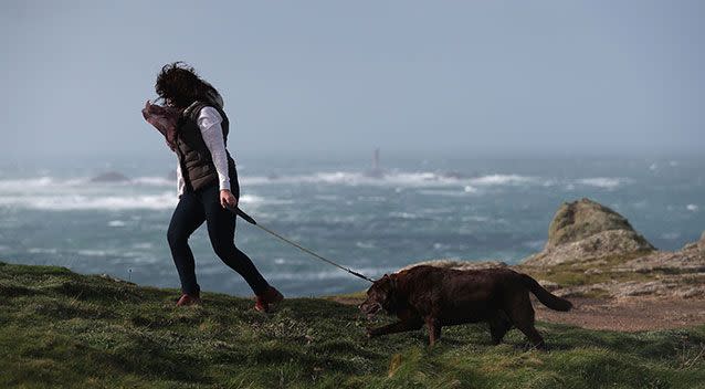 A person walks their dog on the cliffs above Sennen Cove in Cornwall. Source: AAP