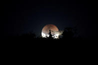 <p>A bride poses for photo during a total lunar eclipse from in Brasilia, Brazil, July 27, 2018. (Photo: Ueslei Marcelino/Reuters) </p>