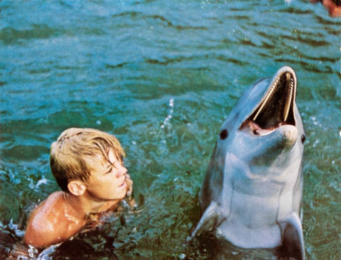 Screenshot from "Flipper"