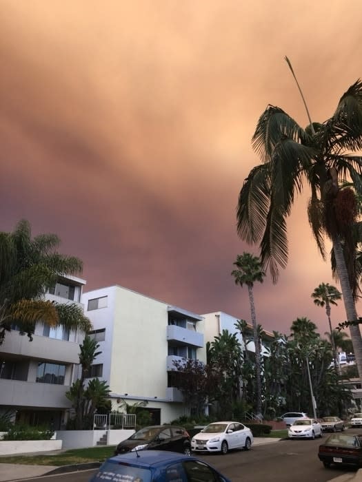 Orange-hued sky over residential street with palm trees and buildings