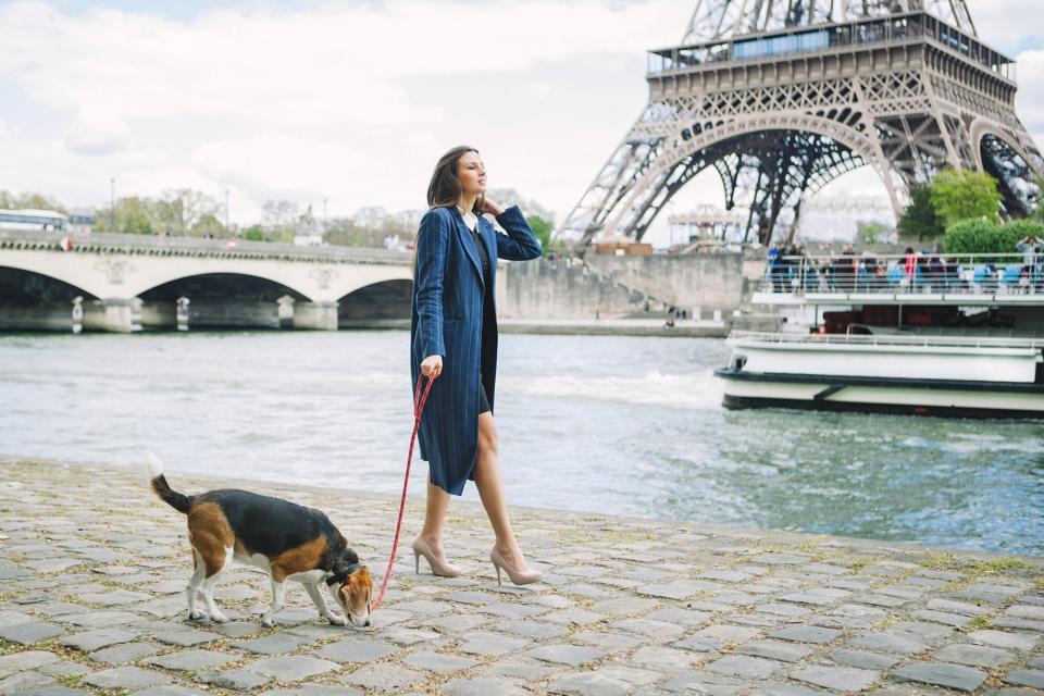 Woman in elegant outfit walks her dog by Paris river