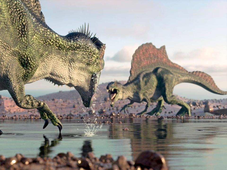 A 3D rendering shows an artist's impression of two spinosauruses fighting near a water pond.