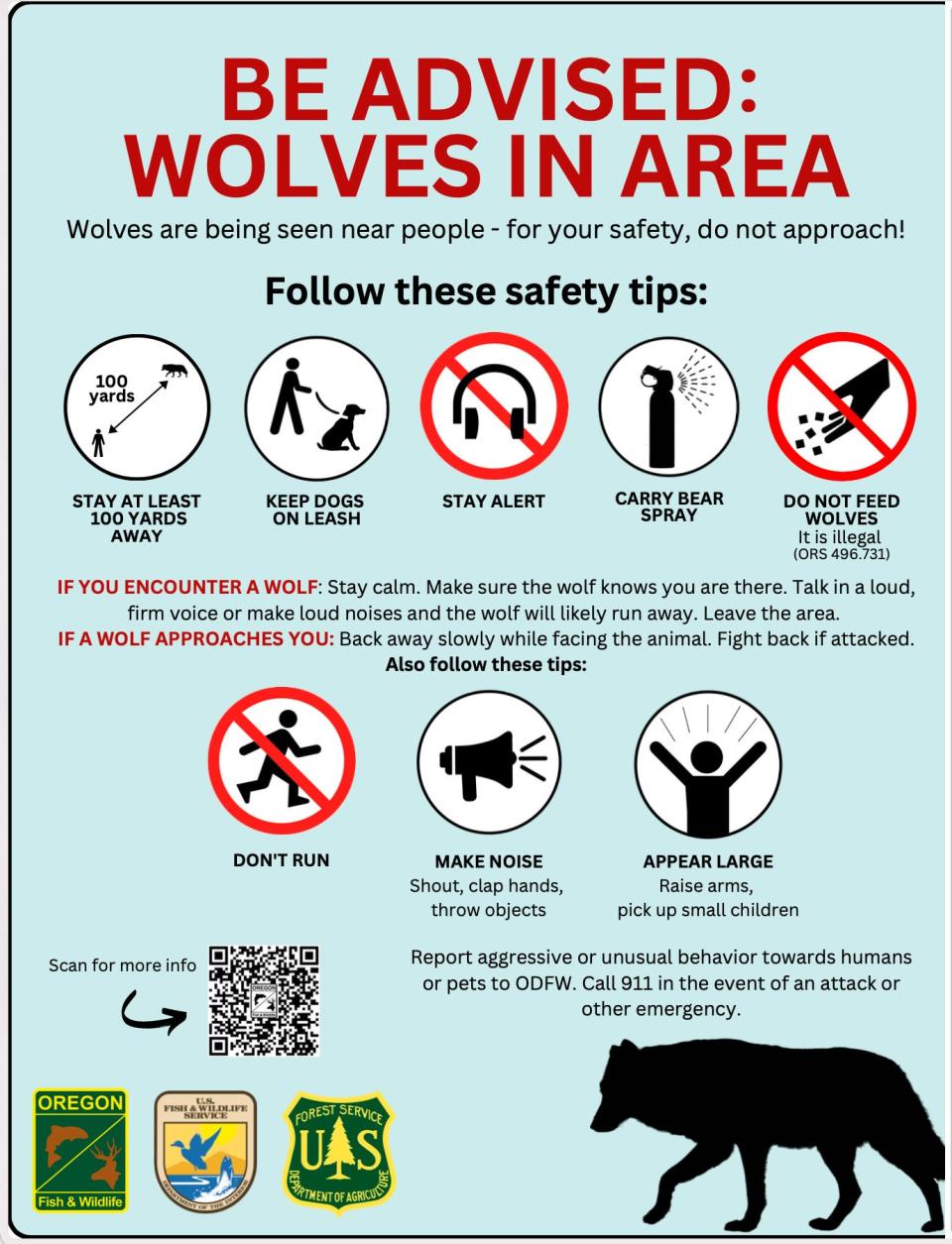 What to do in the event of seeing a wolf in person.