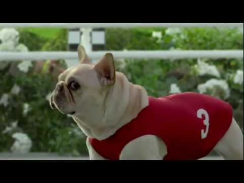 Skechers' "Mr.Quiggly" Commercial