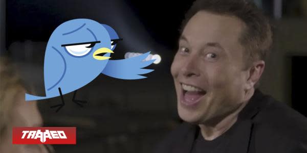 Elon Musk hace encuesta para ver si renuncia como CEO de Twitter pero al ver el resultado recula y sigue en el cargo: "los que quieren el poder son los que menos lo merecen" 