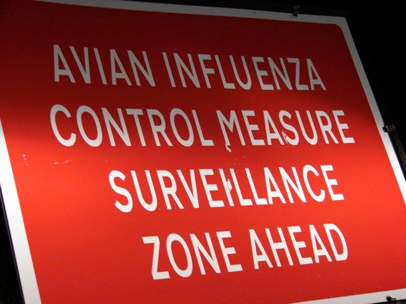 The United States is experiencing a resurgence of the same HPAI bird flu virus which killed more than 50 million chickens and turkeys in 2015.