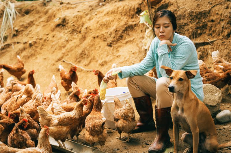 ▲《莎莉》女主角劉品言為了符合角色設定為養雞農婦，特地去養雞場受訓。（圖／伯樂影業提供）