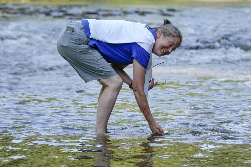 Landowner Sarah Dabney Gillespie releases threatened pearl darter fish, which haven't lived in the Pearl River system for 50 years, in the Strong River, a tributary of the Pearl River, in Pinola, Miss., Monday, July 31, 2023. Wildlife experts say a number of pollution and habitat problems likely contributed to the disappearance of the pearl darter from the Pearl River system. (AP Photo/Gerald Herbert)