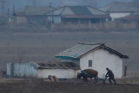 A North Korean soldier plows the land with an ox from the North Korean side of the Yalu River, as a Chinese boat sails by with tourists, near Sinuiju in North Korea and Dandong in China's Liaoning Province, April 13, 2017. REUTERS/Aly Song