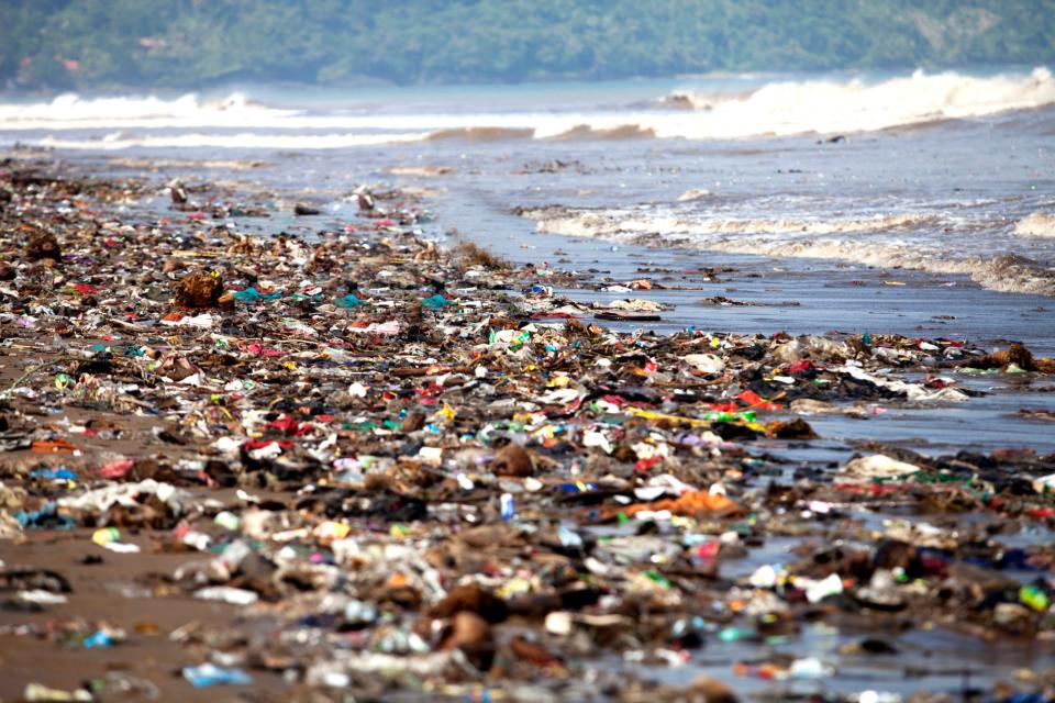 Believe it or not, some of this could soon be holding your shampoo. (Getty)