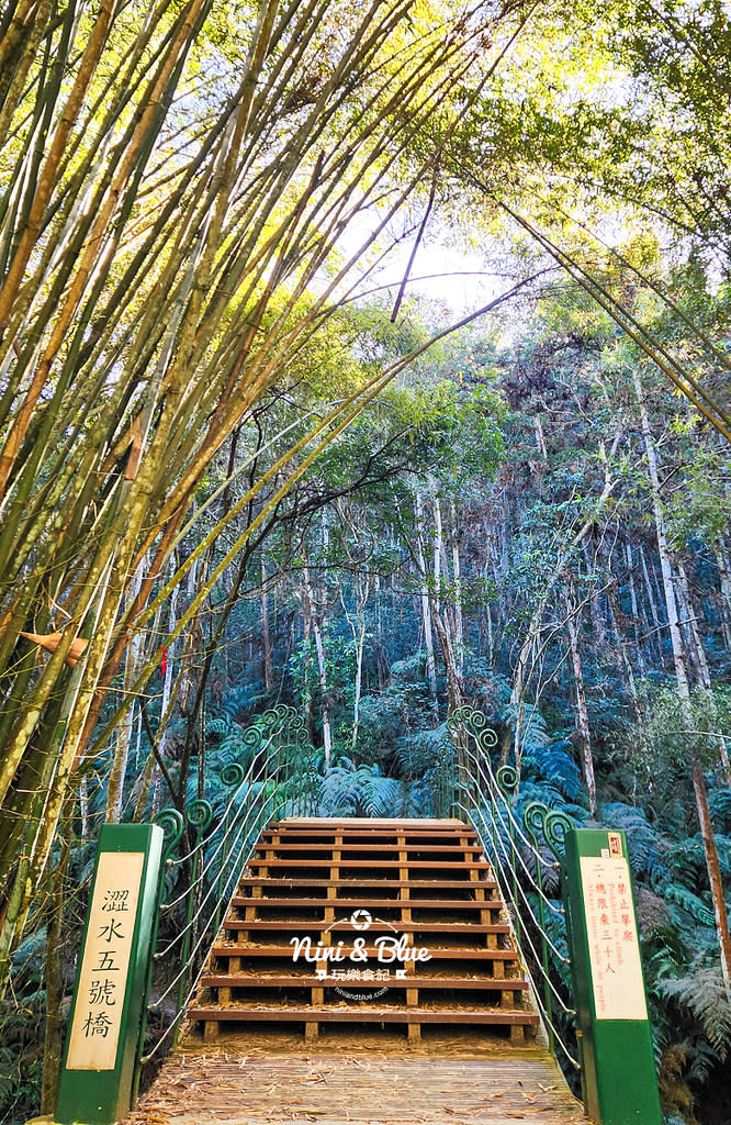 南投魚池｜澀水森林步道