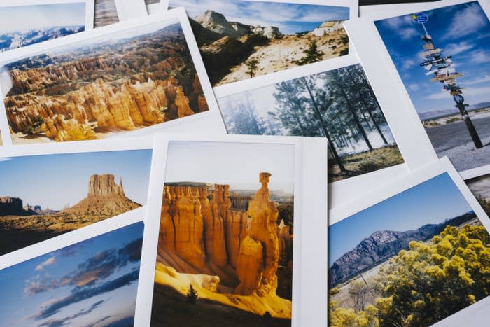 Polaroid snapshots of all the major American national parks.