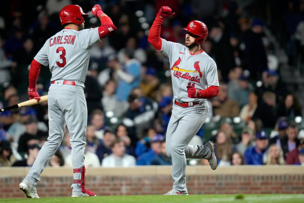 CARDENALES-CACHORROS (AP)