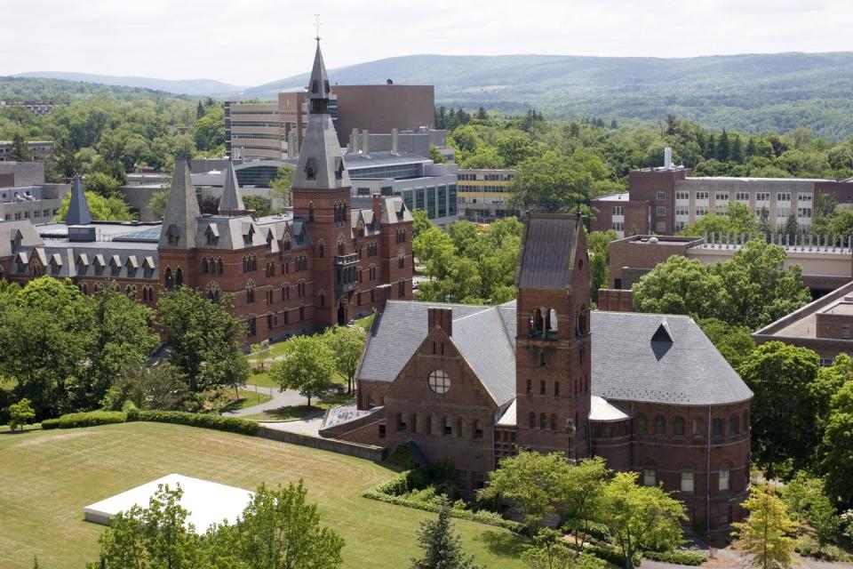 You can major in wine at Cornell University.