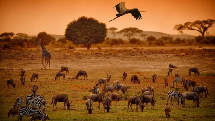 Parque nacional, Kenia