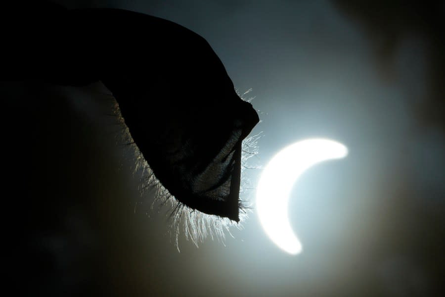 The frayed edges of a flag are lit as the moon partially covers the sun during a total solar eclipse, as seen from Andrews Air Force Base, Md., Monday, April 8, 2024. (AP Photo/Susan Walsh)