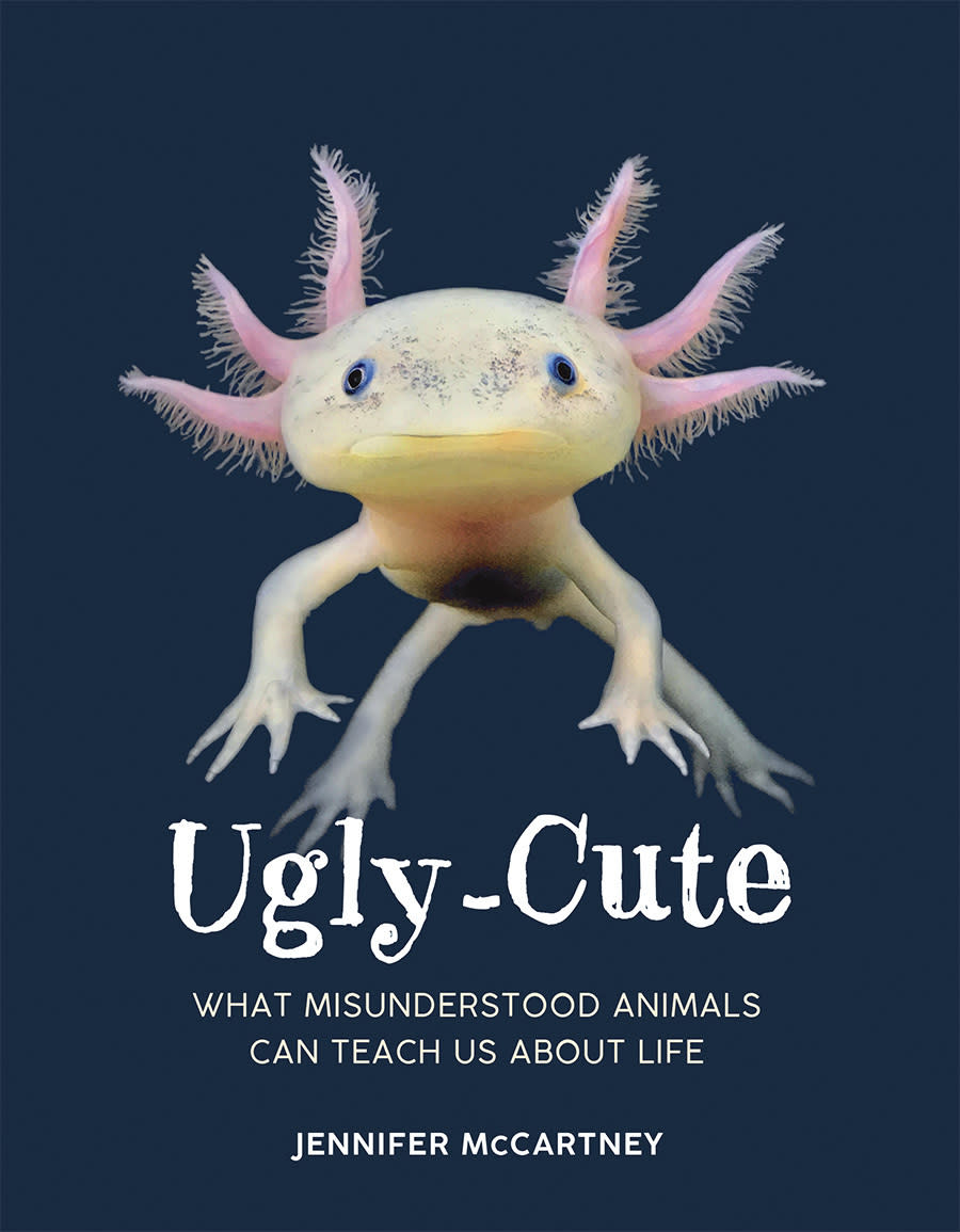 This photo shows the cover of “Ugly-Cute” by Jennifer McCartney. (HarperCollins via AP)