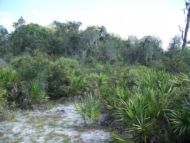 Little Manatee River State Park