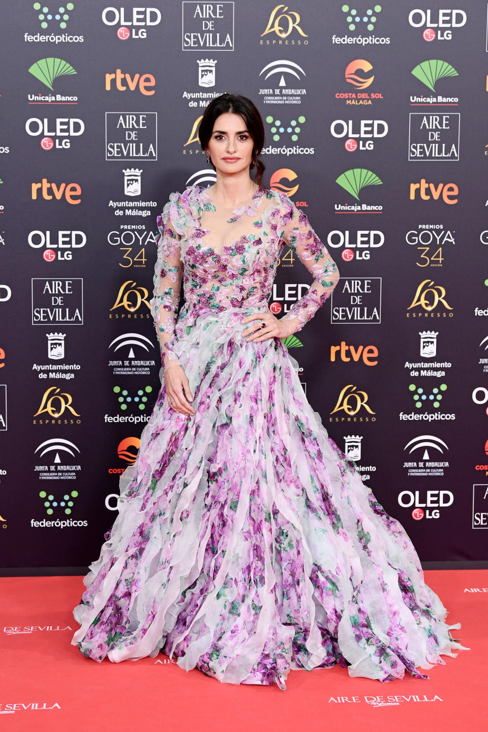 MALAGA, SPAIN - JANUARY 25: Penelope Cruz wearing Atelier Swarovski by Penelope Cruz Fine Jewelry attends the Goya Cinema Awards 2020 during the 34th edition of the Goya Cinema Awards at Jose Maria Martin Carpena Sports Palace on January 25, 2020 in Malaga, Spain. (Photo by Carlos Alvarez/Getty Images for Swarovski)