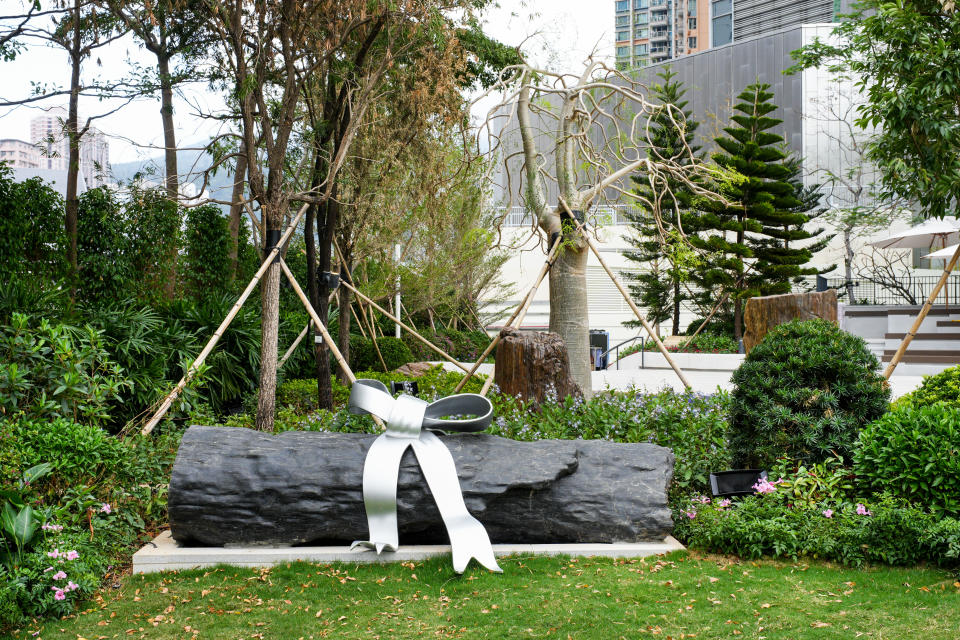 香港好去處｜荃灣西新開 香港首個木化石公園 70,000呎園區 免費欣賞過百木化石珍品 