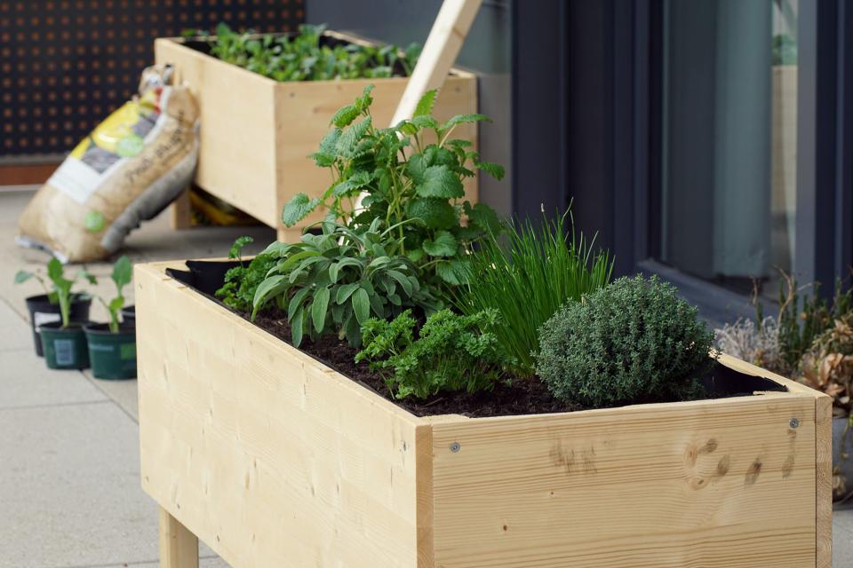 Can’t Grow Anything in Your Yard? These Raised Garden Beds Are the Solution
