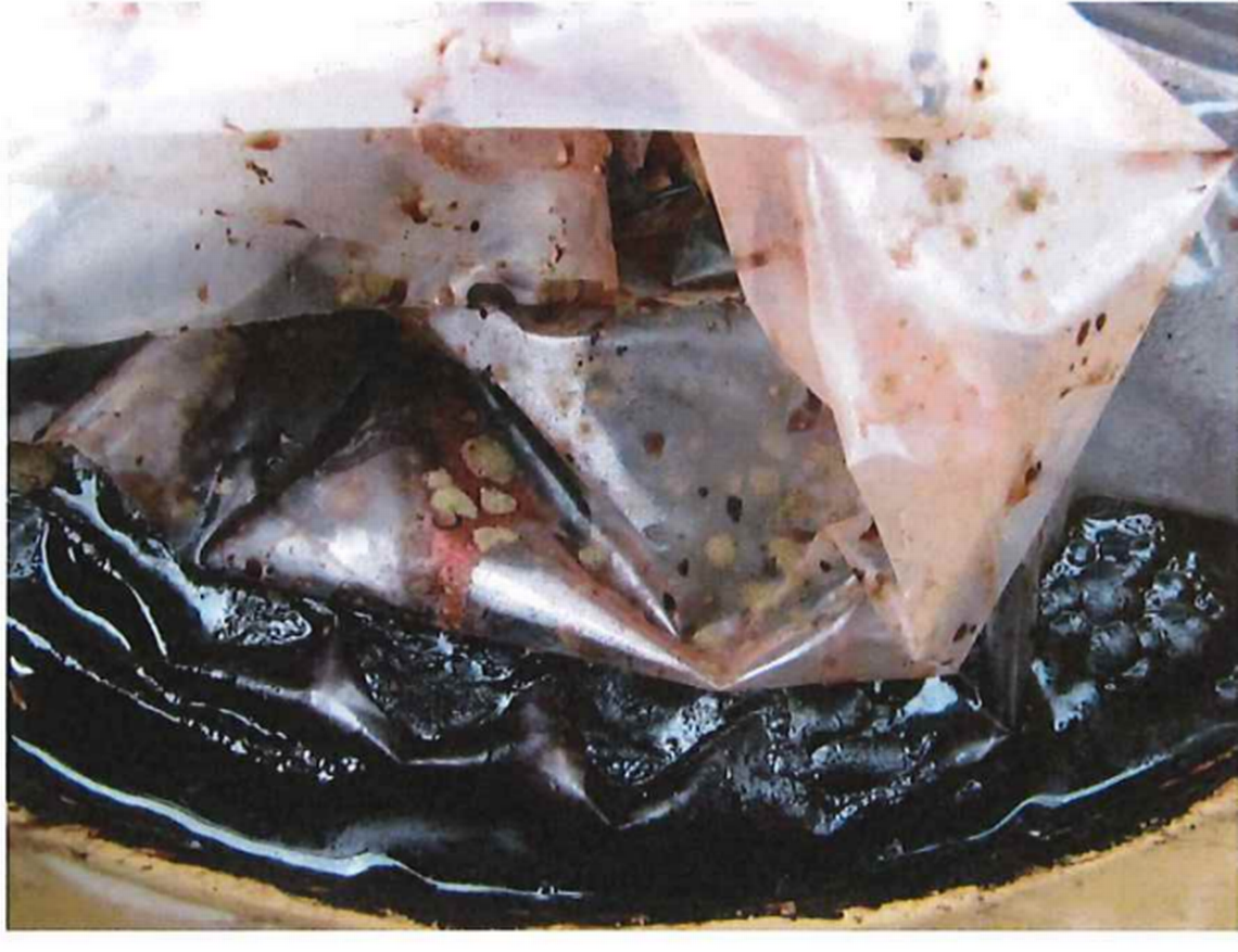 A photo filed in federal court shows apparent mold growing inside plastic bags holding grape product to be made into juice concentrate Valley Processing in Sunnyside.