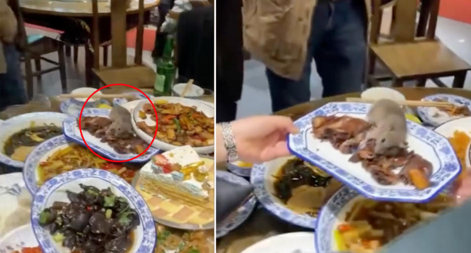 Rat falls from ceiling onto food at restaurant in Chongqing, China.