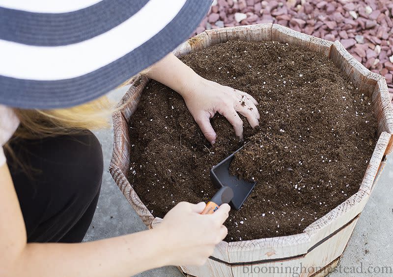 wooden bucket used as a garden planter