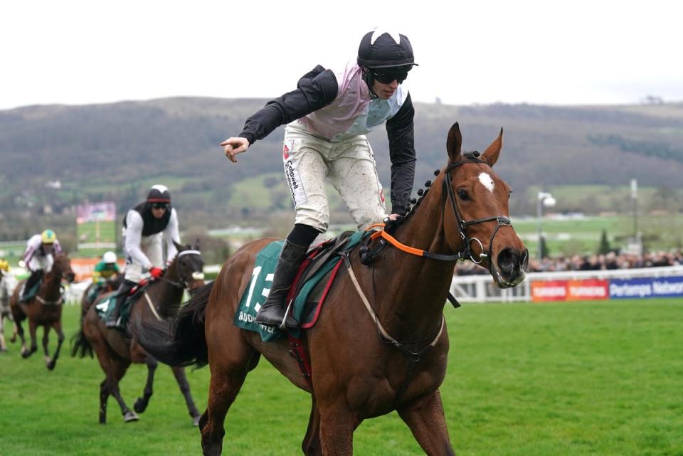 Jack Kennedy and Teahupoo were one of just two Irish winners after their Stayers’ Hurdle victory (Adam Davy/PA Wire)