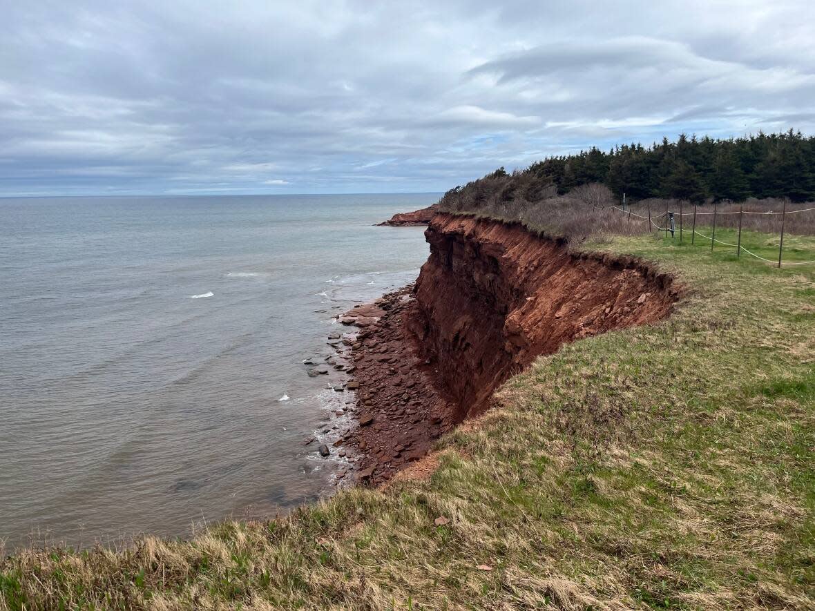 The cliffs are about 15 metres high in the area of Orby Head where the man was pronounced dead, police say. (Brittany Spencer/CBC - image credit)