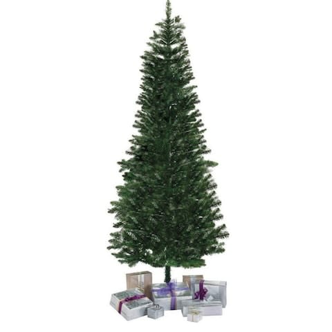 Argos budget tree