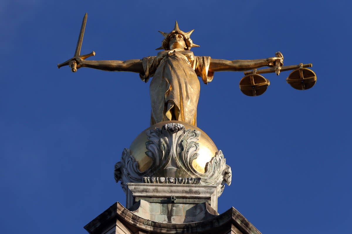 The government is facing intense pressure to reform the controversial Single Justice Procedure (Jonathon Brady/PA) (PA Archive)