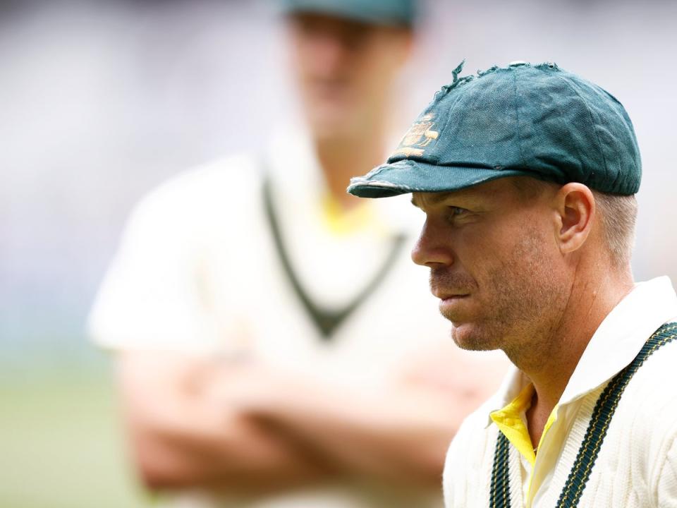 David Warner has played more than 100 Tests for Australia  (Getty Images)